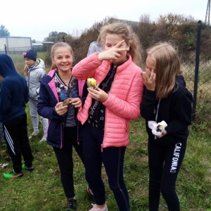 pokaż obrazek - 