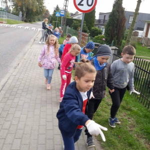 pokaż obrazek - 