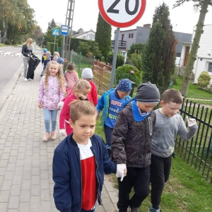 pokaż obrazek - 