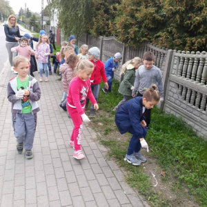 pokaż obrazek - 