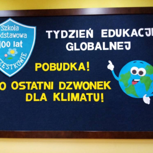 pokaż obrazek - 