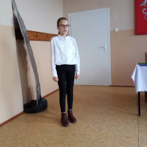 pokaż obrazek - 