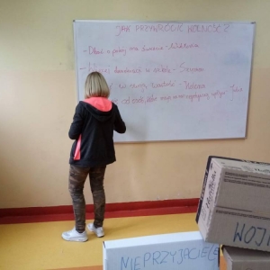 pokaż obrazek - 