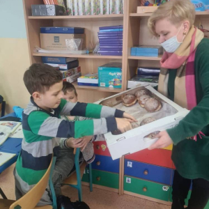 pokaż obrazek - 