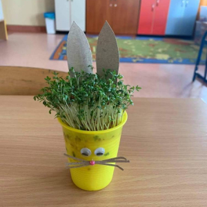 pokaż obrazek - 