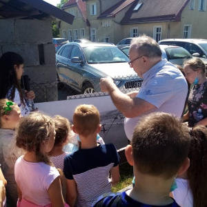pokaż obrazek - 