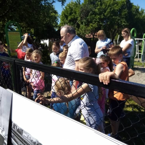 pokaż obrazek - 