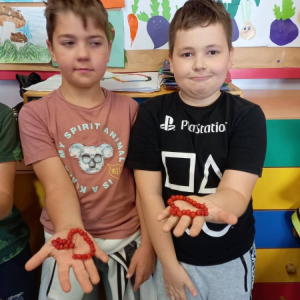 pokaż obrazek - 