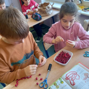 pokaż obrazek - 