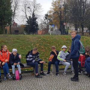 pokaż obrazek - 