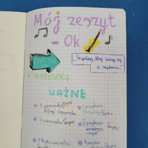 pokaż obrazek - 