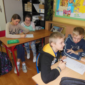 pokaż obrazek - 