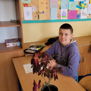 pokaż obrazek - 