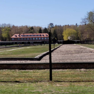 pokaż obrazek - Muzeum Stutthof w Sztutowie