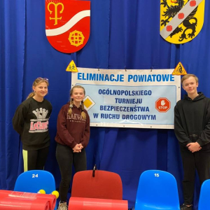 pokaż obrazek - 