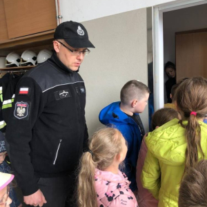 pokaż obrazek - 