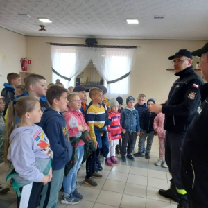pokaż obrazek - 