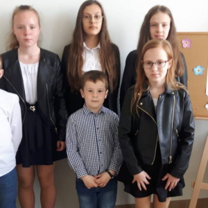 pokaż obrazek - 