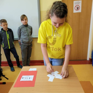 pokaż obrazek - 