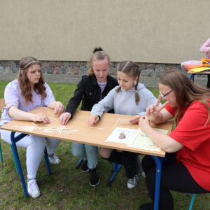 pokaż obrazek - 