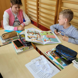 pokaż obrazek - 
