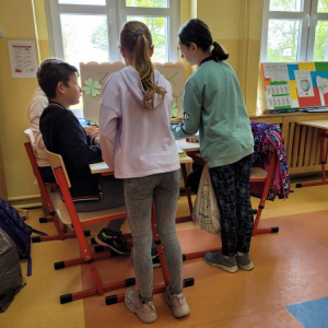 pokaż obrazek - 