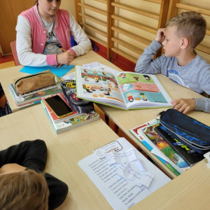 pokaż obrazek - 