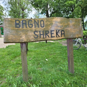 pokaż obrazek - W Bagnie Shreka
