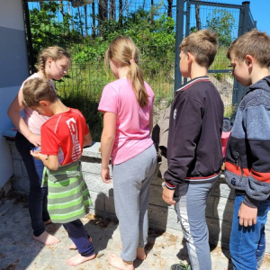pokaż obrazek - Słodkie niespodzianki