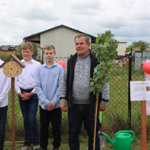 pokaż obrazek - Prezentacja drzewek