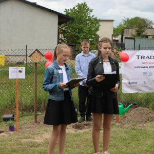 pokaż obrazek - Prezentacja projektu