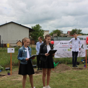 pokaż obrazek - Prezentacja projektu