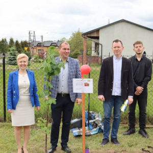 pokaż obrazek - Prezentacja drzewek