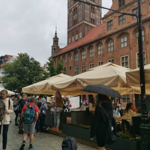 pokaż obrazek - Zwiedzanie Torunia