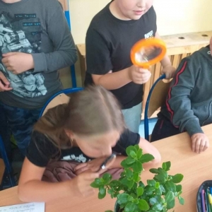 pokaż obrazek - 