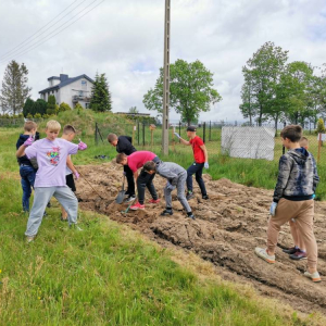 pokaż obrazek - Uczniowie przygotowują teren