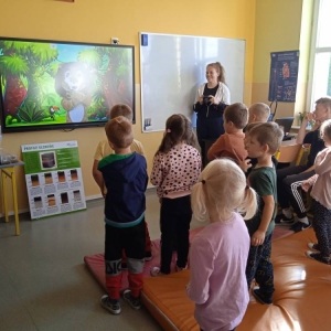 pokaż obrazek - 
