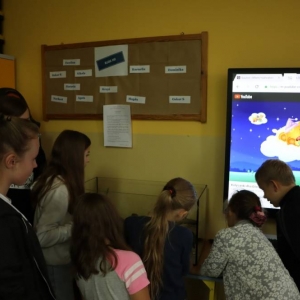 pokaż obrazek - 