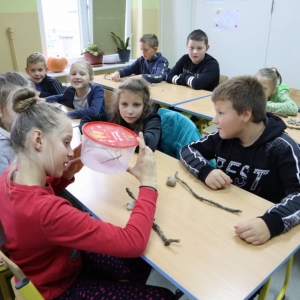 pokaż obrazek - 