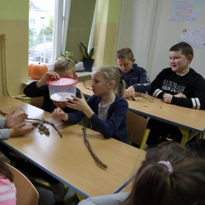pokaż obrazek - 