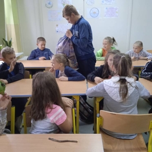 pokaż obrazek - 