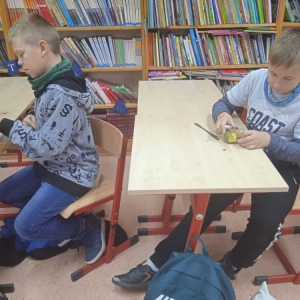pokaż obrazek - 