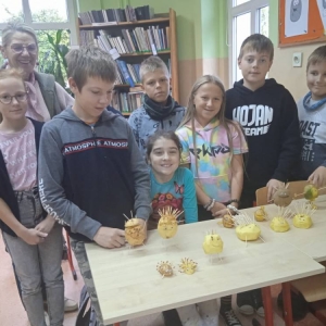 pokaż obrazek - 