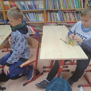 pokaż obrazek - 