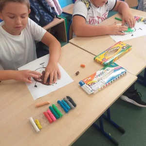 pokaż obrazek - 