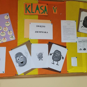 pokaż obrazek - 