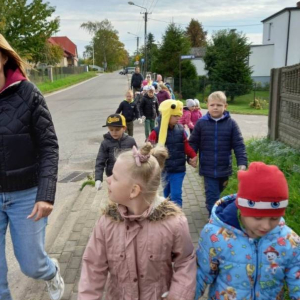 pokaż obrazek - 