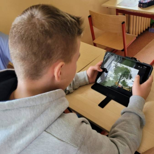 pokaż obrazek - 