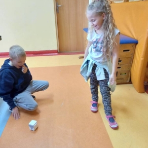 pokaż obrazek - Zajęcia z robotyki