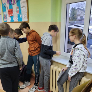 pokaż obrazek - Andrzejkowe wróżby
